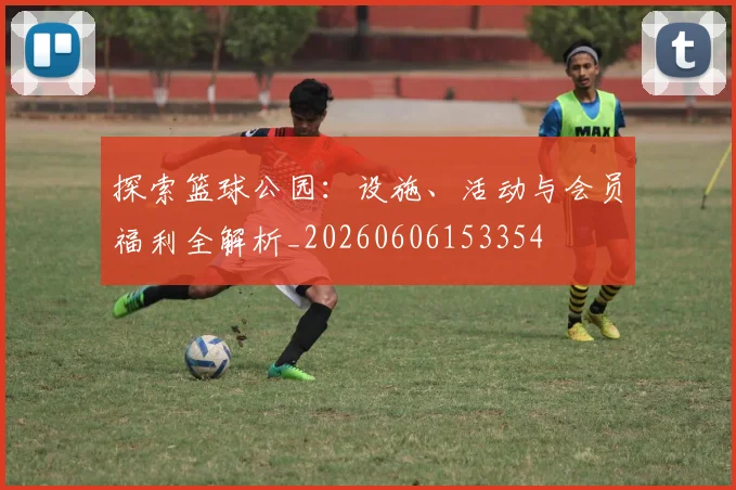 探索篮球公园：设施、活动与会员福利全解析_20260606153354